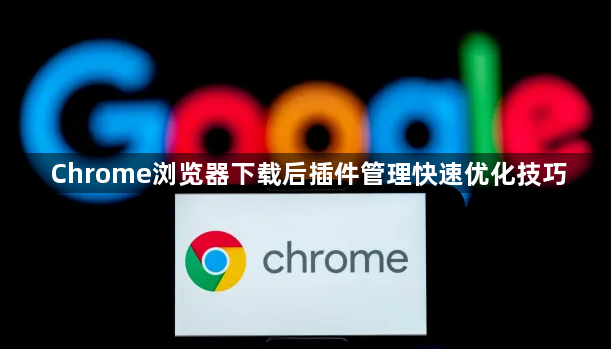 Chrome浏览器下载后插件管理快速优化技巧1