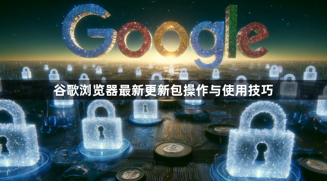 谷歌浏览器最新更新包操作与使用技巧1