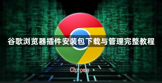 谷歌浏览器插件安装包下载与管理完整教程1