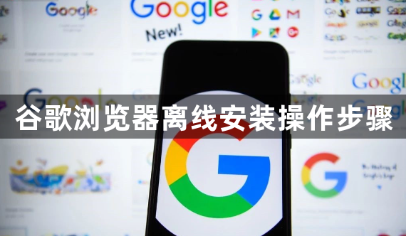 谷歌浏览器离线安装操作步骤1