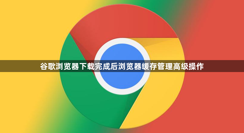 谷歌浏览器下载完成后浏览器缓存管理高级操作1