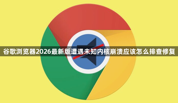 谷歌浏览器2026最新版遭遇未知内核崩溃应该怎么排查修复1