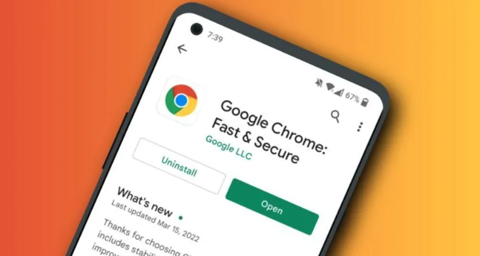 Chrome浏览器下载及缓存清理方法